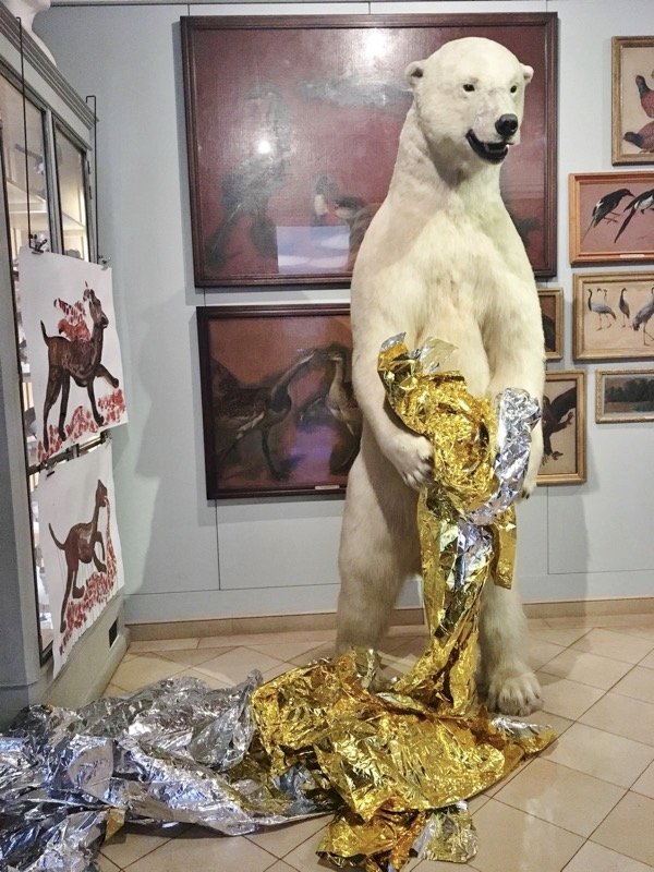 Le Musée de la Chasse et de la Nature à Paris - Ours polaire