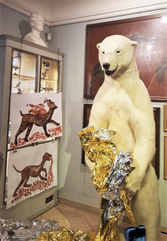 Le Musée de la Chasse et de la Nature à Paris - Ours polaire